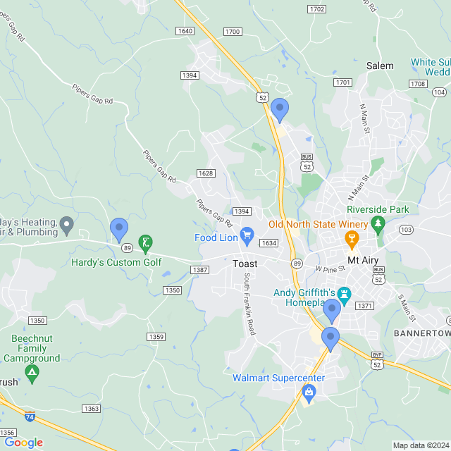 Map of veterinarians in Mt Airy, NC