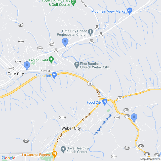 Map of veterinarians in Gate City, VA