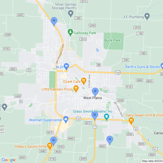 Map of veterinarians in West Plains, MO