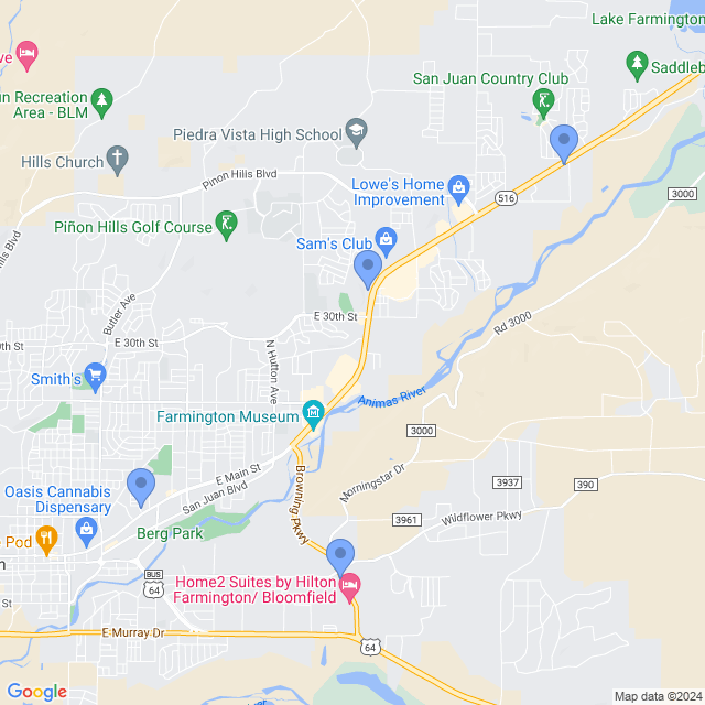 Map of veterinarians in Farmington, NM