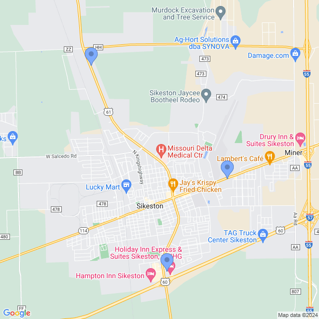 Map of veterinarians in Sikeston, MO