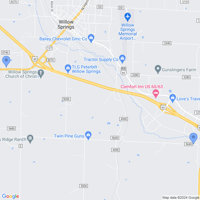Map of veterinarians in Willow Springs, MO