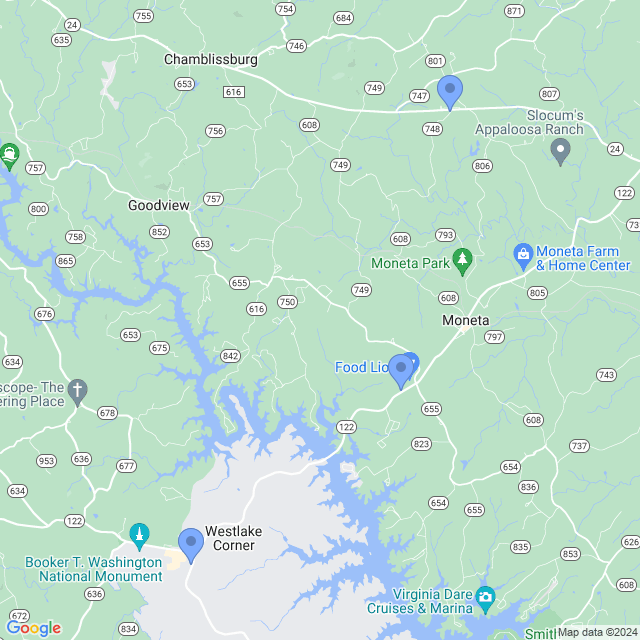 Map of veterinarians in Moneta, VA