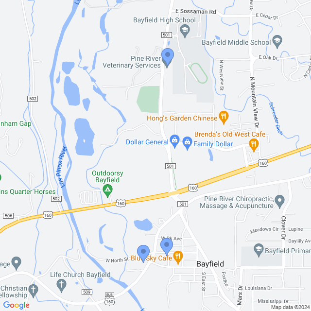 Map of veterinarians in Bayfield, CO