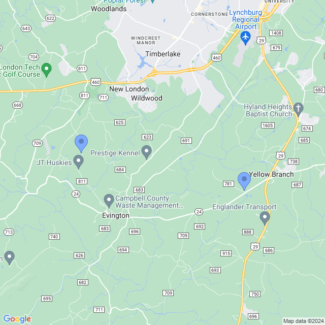 Map of veterinarians in Evington, VA
