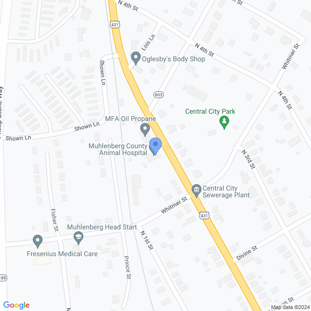 Map of veterinarians in Central City, KY