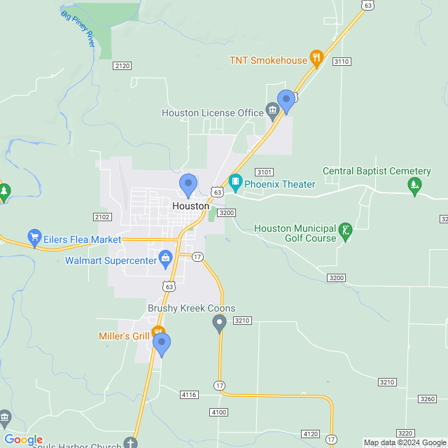 Map of veterinarians in Houston, MO
