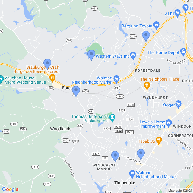 Map of veterinarians in Forest, VA