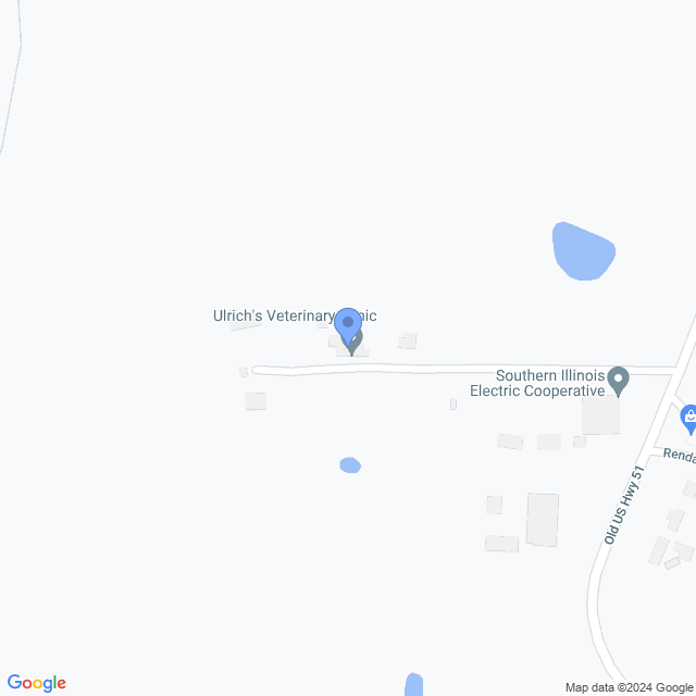 Map of veterinarians in Dongola, IL