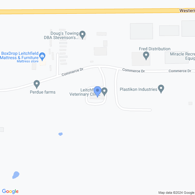 Map of veterinarians in Leitchfield, KY