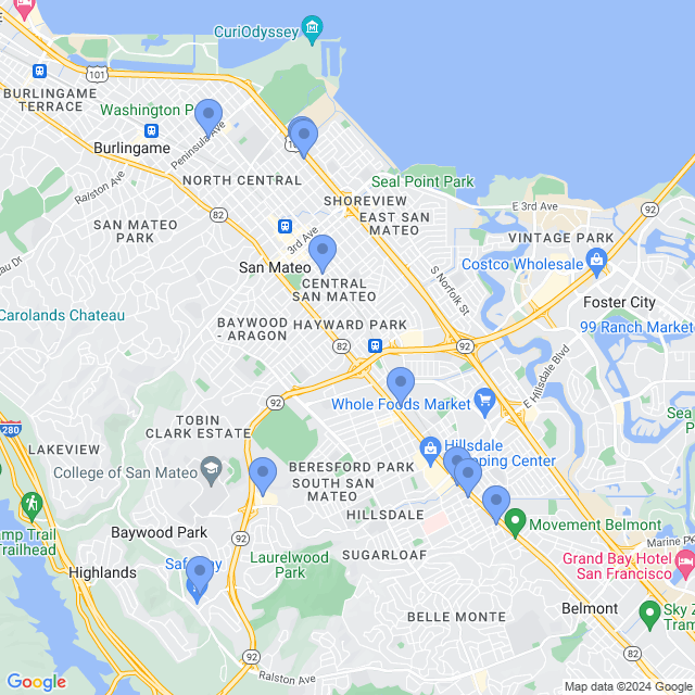 Map of veterinarians in San Mateo, CA
