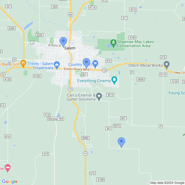 Map of veterinarians in Salem, MO