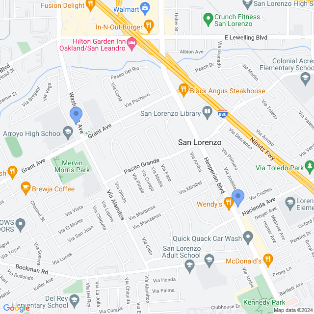 Map of veterinarians in San Lorenzo, CA