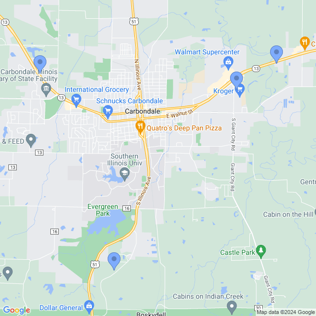 Map of veterinarians in Carbondale, IL