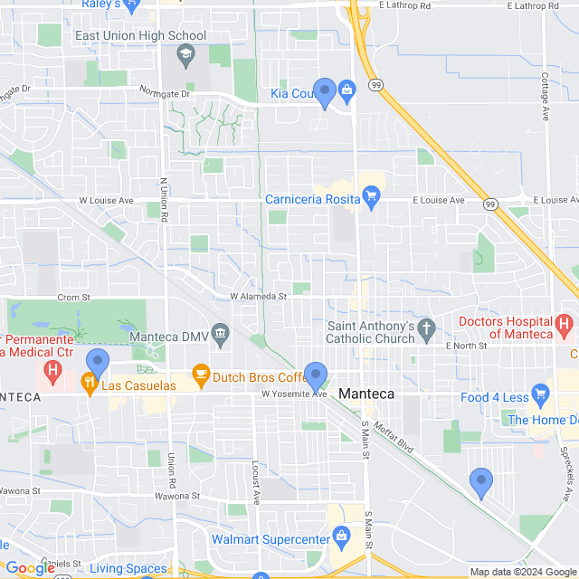 Map of veterinarians in Manteca, CA