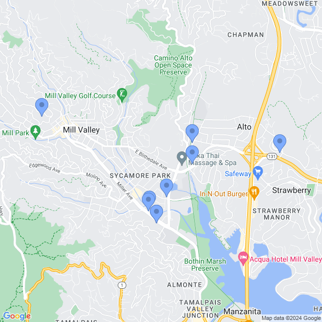 Map of veterinarians in Mill Valley, CA
