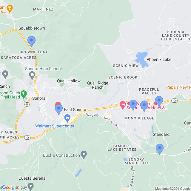 Map of veterinarians in Sonora, CA