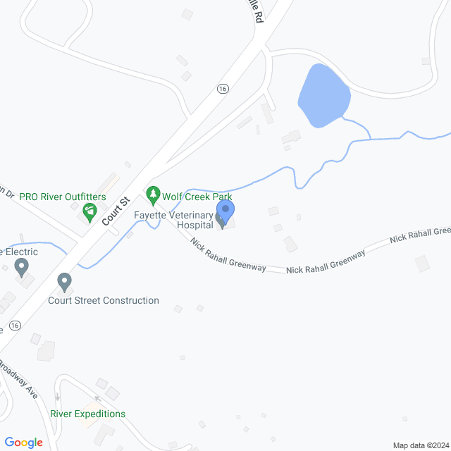 Map of veterinarians in Fayetteville, WV