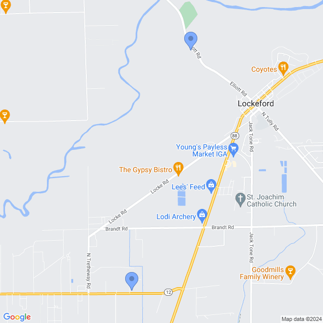 Map of veterinarians in Lockeford, CA