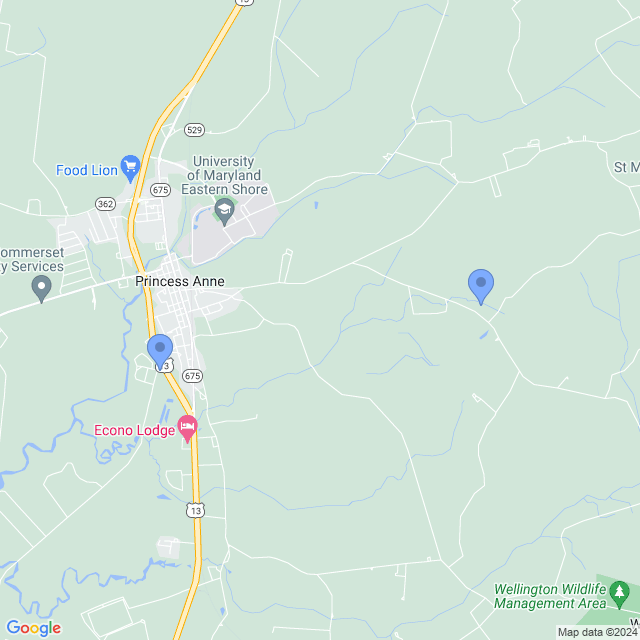 Map of veterinarians in Princess Anne, MD