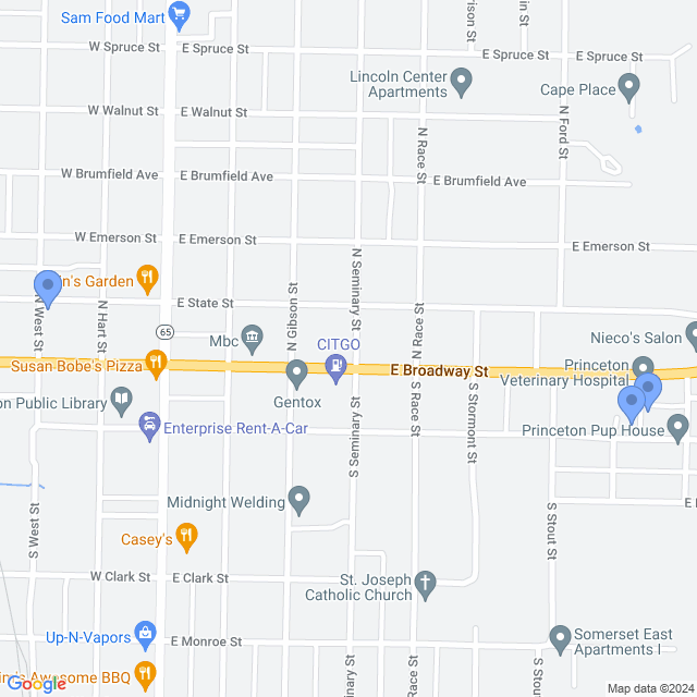 Map of veterinarians in Princeton, IN