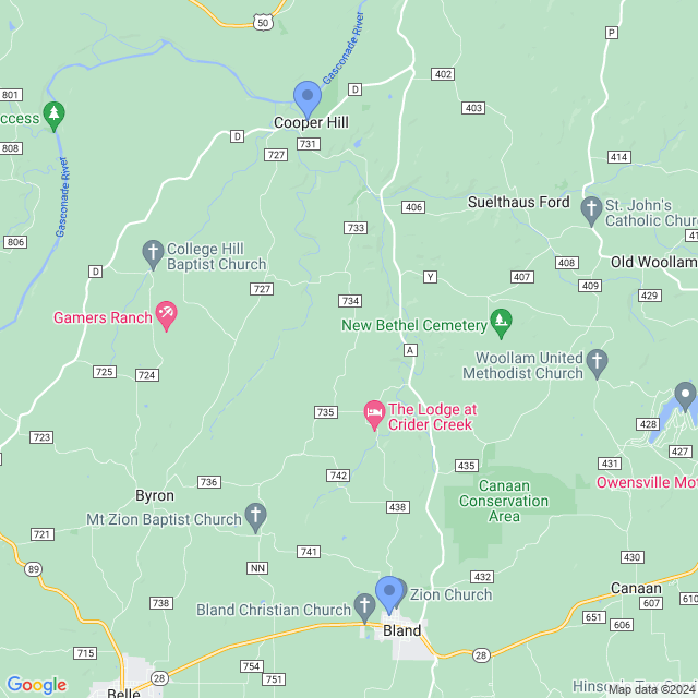 Map of veterinarians in Bland, MO