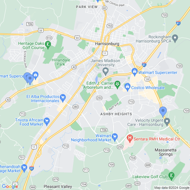 Map of veterinarians in Rockingham, VA
