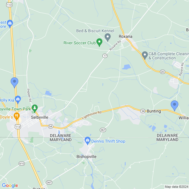Map of veterinarians in Selbyville, DE