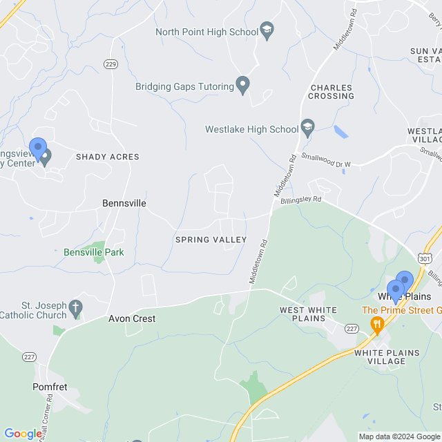 Map of veterinarians in White Plains, MD