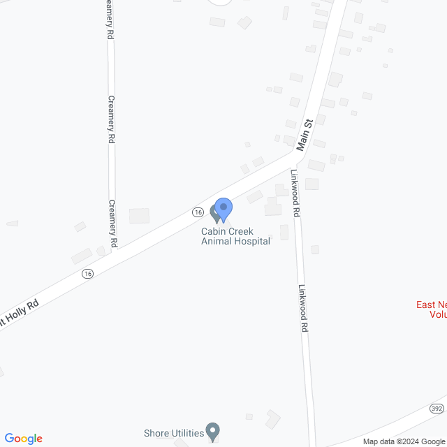 Map of veterinarians in East New Market, MD