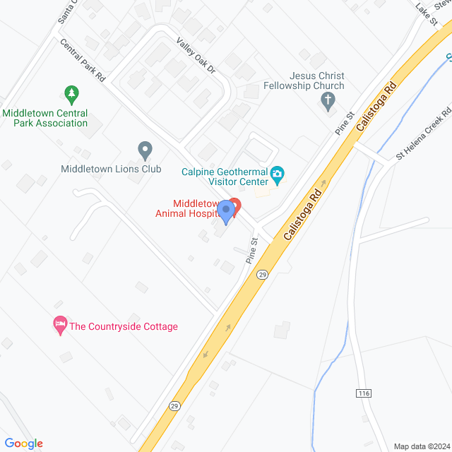 Map of veterinarians in Middletown, CA