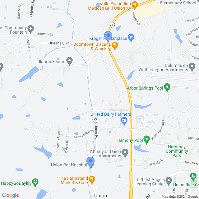 Map of veterinarians in Union, KY