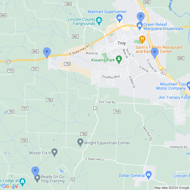 Map of veterinarians in Troy, MO
