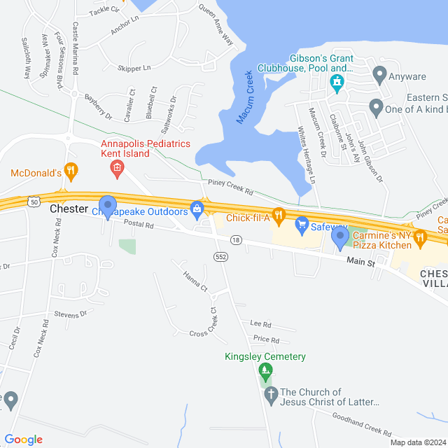 Map of veterinarians in Chester, MD
