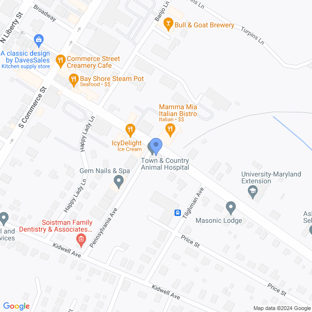 Map of veterinarians in Centreville, MD