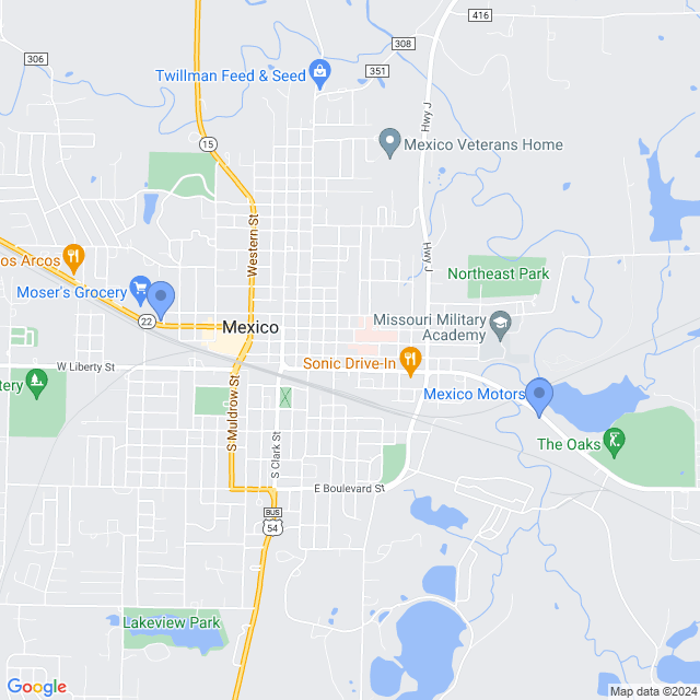 Map of veterinarians in Mexico, MO