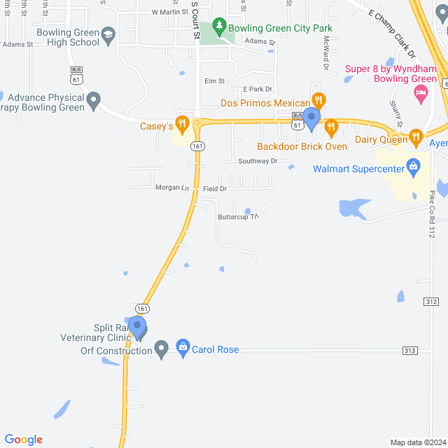 Map of veterinarians in Bowling Green, MO