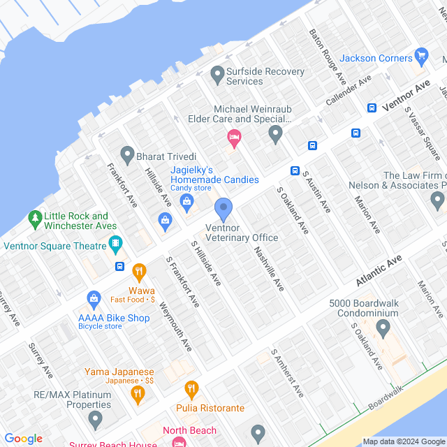 Map of veterinarians in Ventnor City, NJ