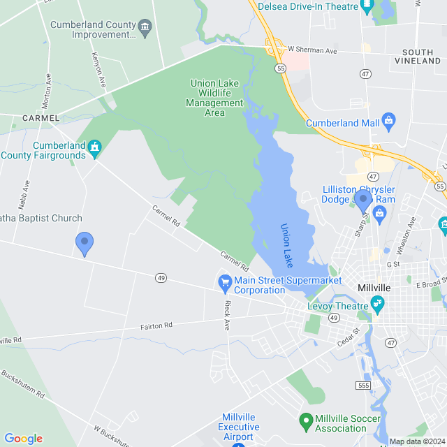 Map of veterinarians in Millville, NJ