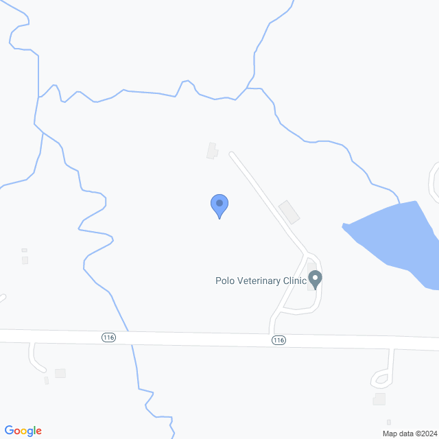 Map of veterinarians in Polo, MO