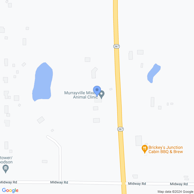 Map of veterinarians in Murrayville, IL