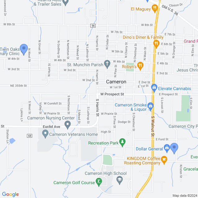 Map of veterinarians in Cameron, MO