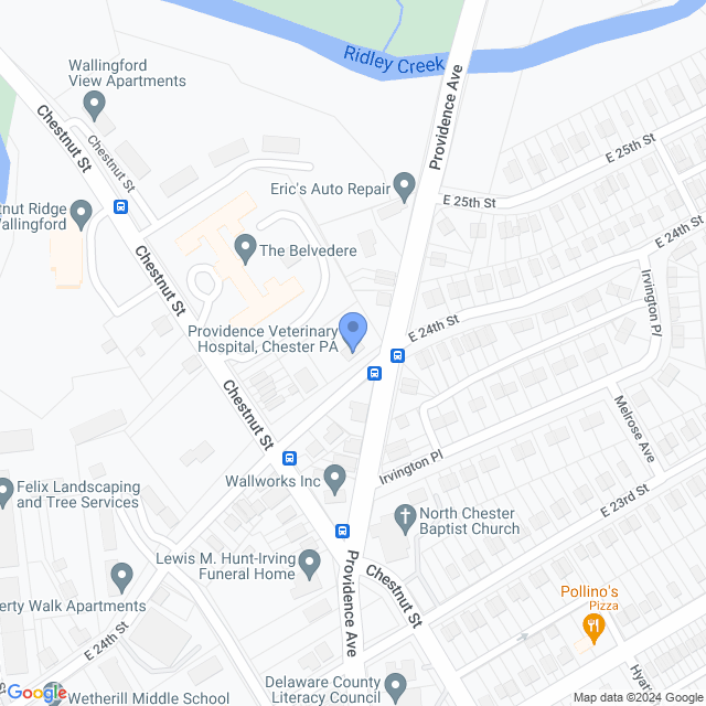 Map of veterinarians in Chester, PA