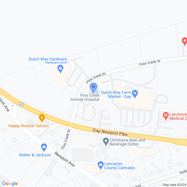 Map of veterinarians in Christiana, PA