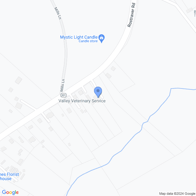 Map of veterinarians in Rostraver Township, PA