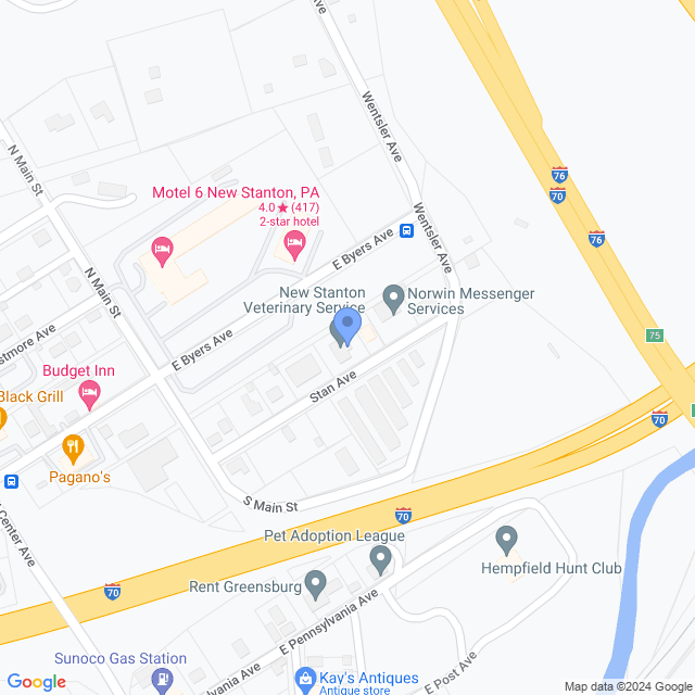 Map of veterinarians in New Stanton, PA