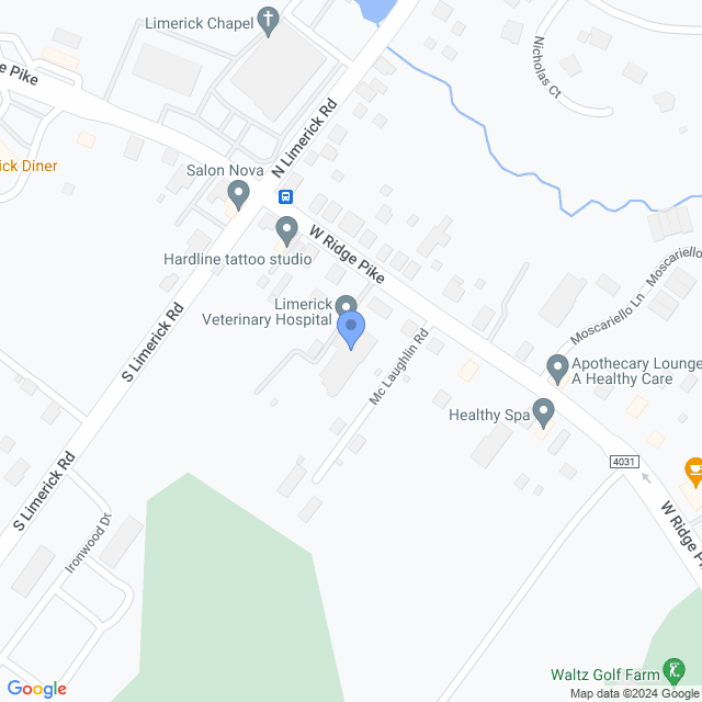 Map of veterinarians in Limerick, PA