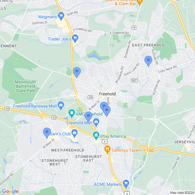 Map of veterinarians in Freehold, NJ
