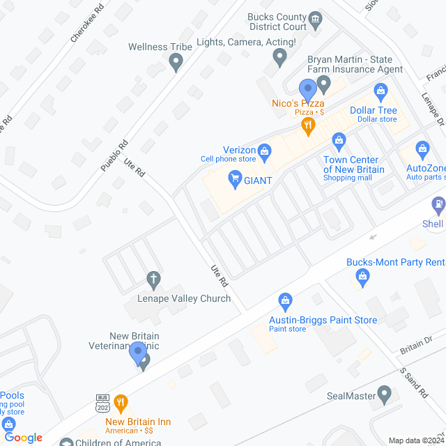 Map of veterinarians in New Britain, PA