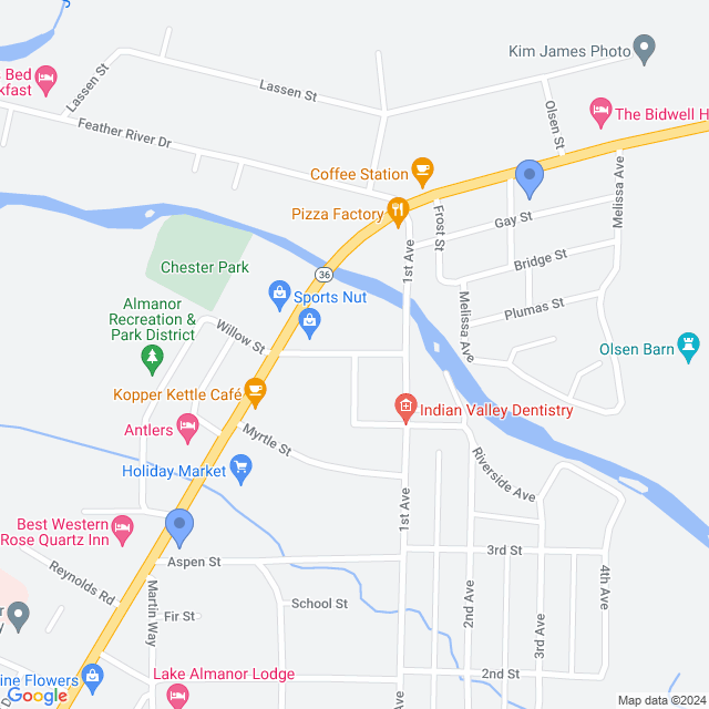 Map of veterinarians in Chester, CA